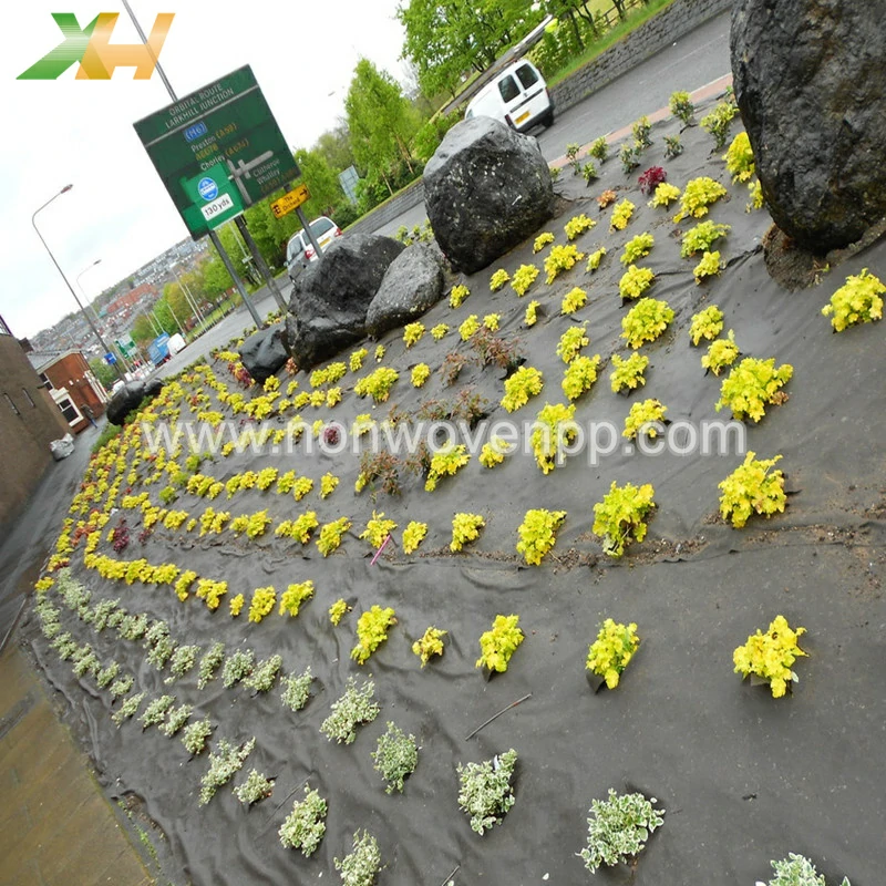 non woven polypropylene fabric